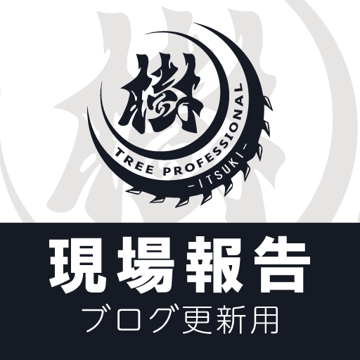 ITSUKI